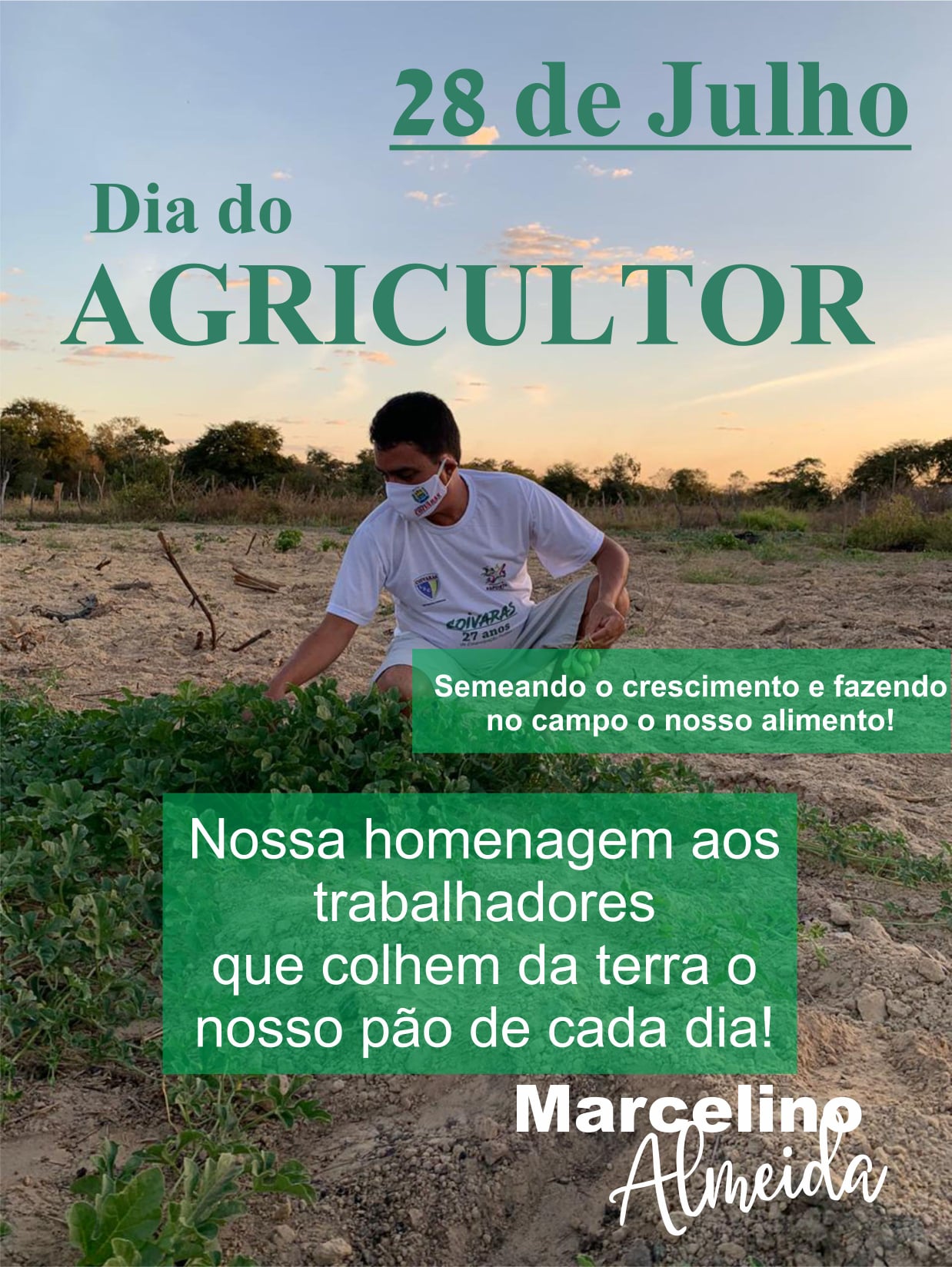 Coivaras se destaca entre os grandes produtores de melancia na região - Imagem 1