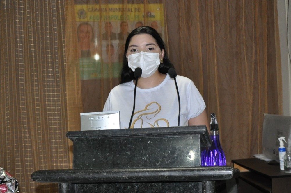 Prefeitura de Hugo Napoleão realiza evento de incentivo à amamentação - Imagem 3