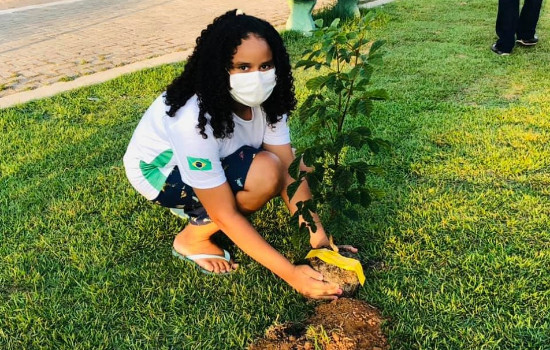 Dia da Árvore foi comemorado em Nossa Senhora dos Remédios 