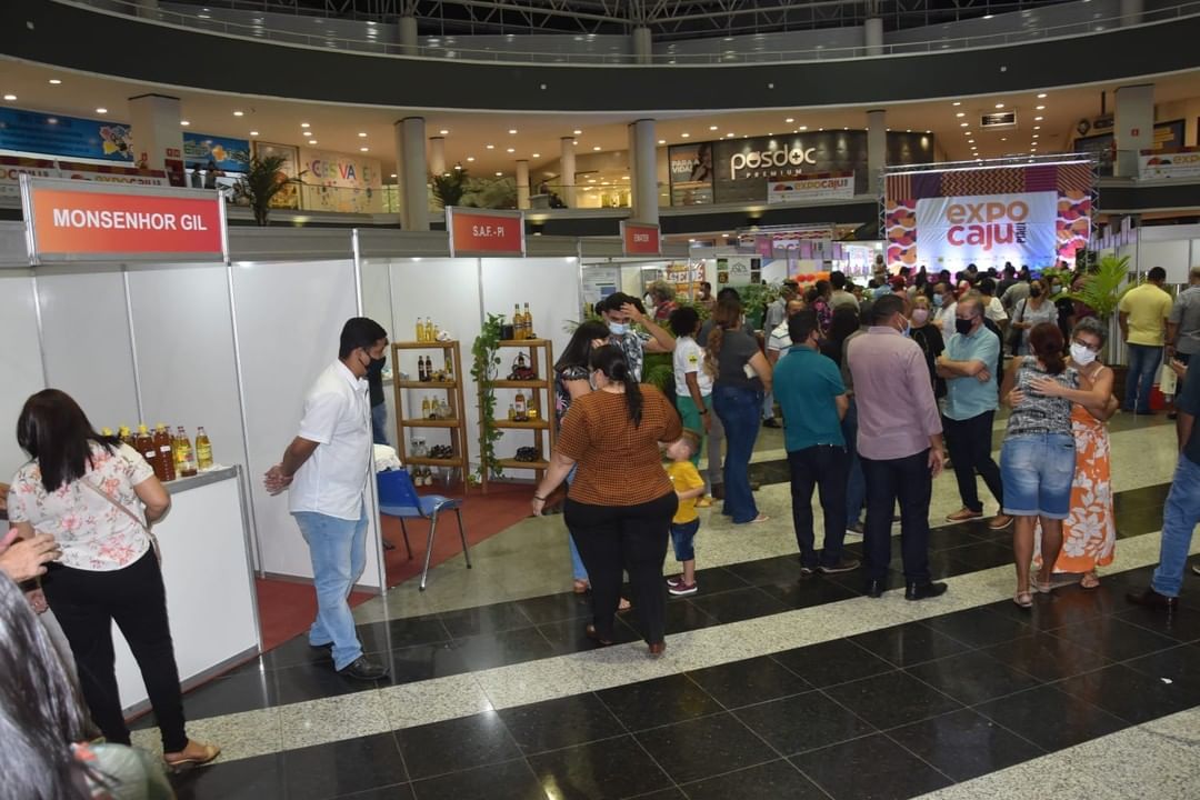 Governador Wellington Dias visita stand de Monsenhor Gil na Expocaju - Imagem 3