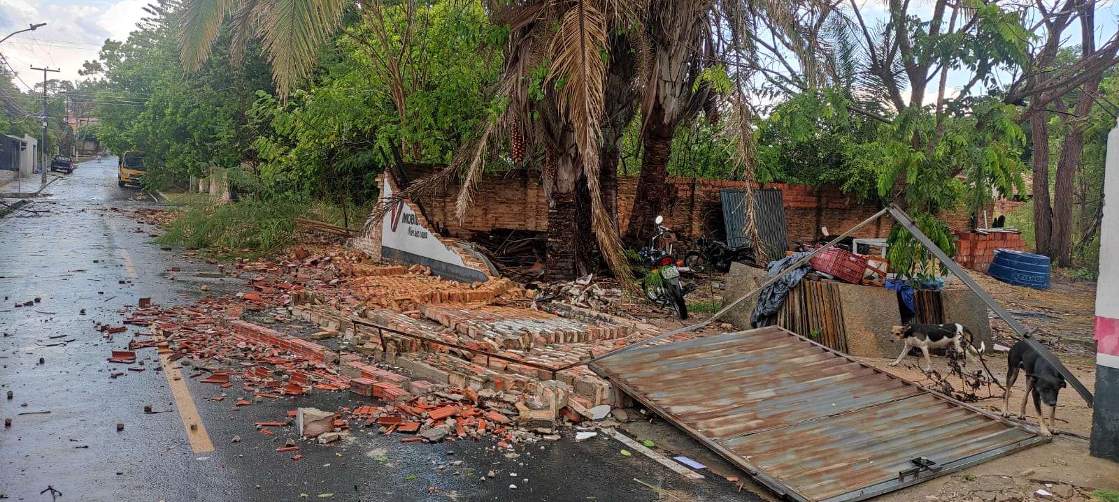Forte vendaval causa danos em Monsenhor Gil nesta tarde de segunda feira - Imagem 7