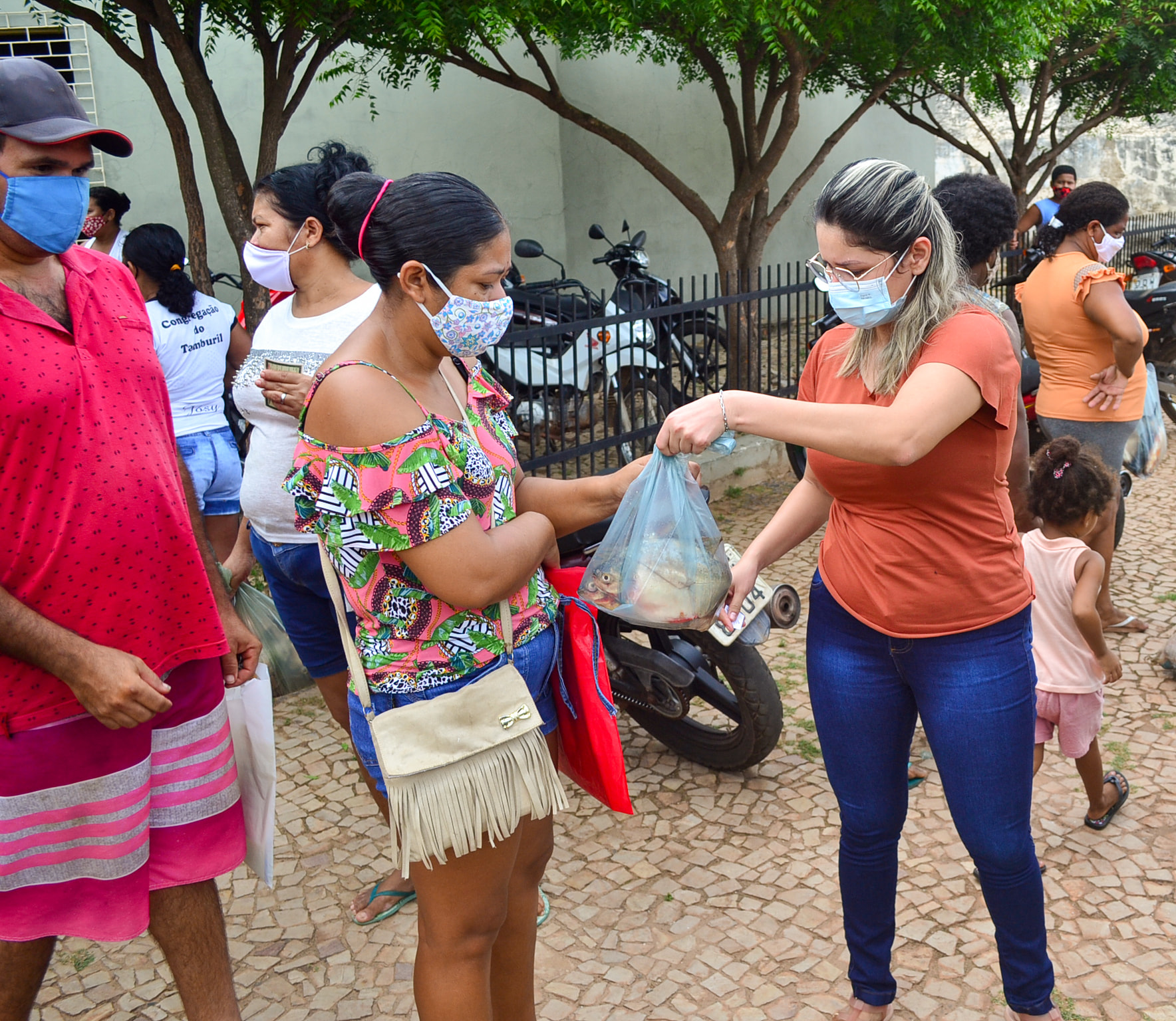 Prefeitura Municipal realiza entrega de 2 toneladas de peixes - Imagem 5
