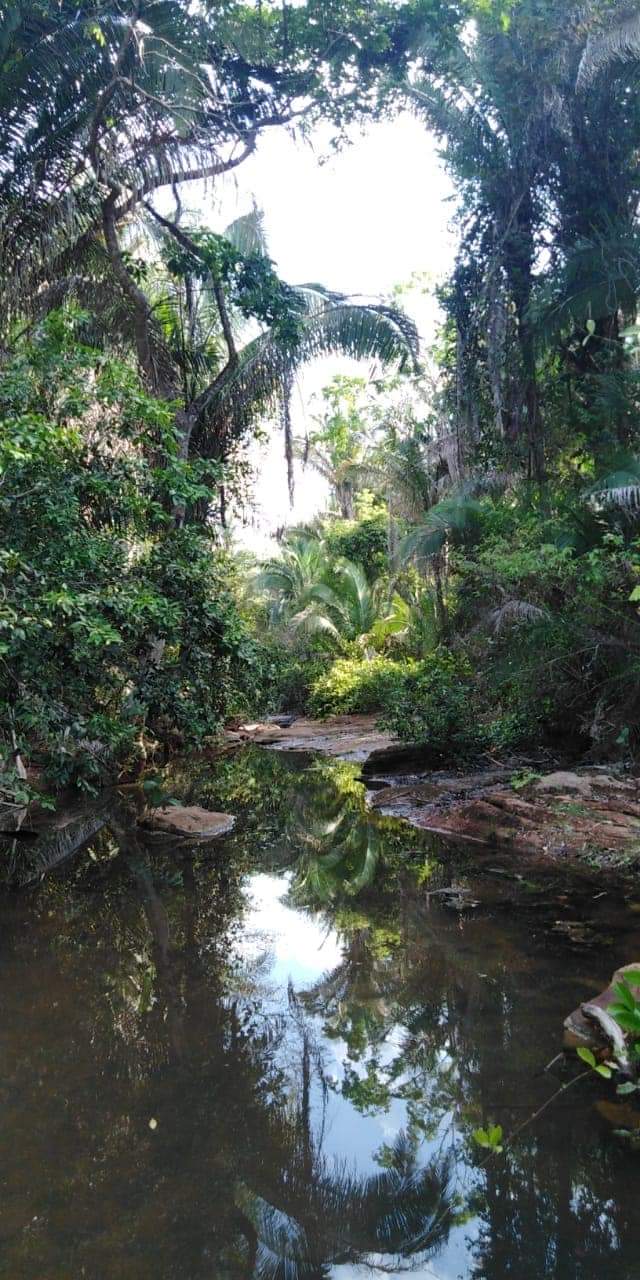 Drogueda. Um novo conceito em turismo sustentável em Monsenhor Gil - Imagem 5