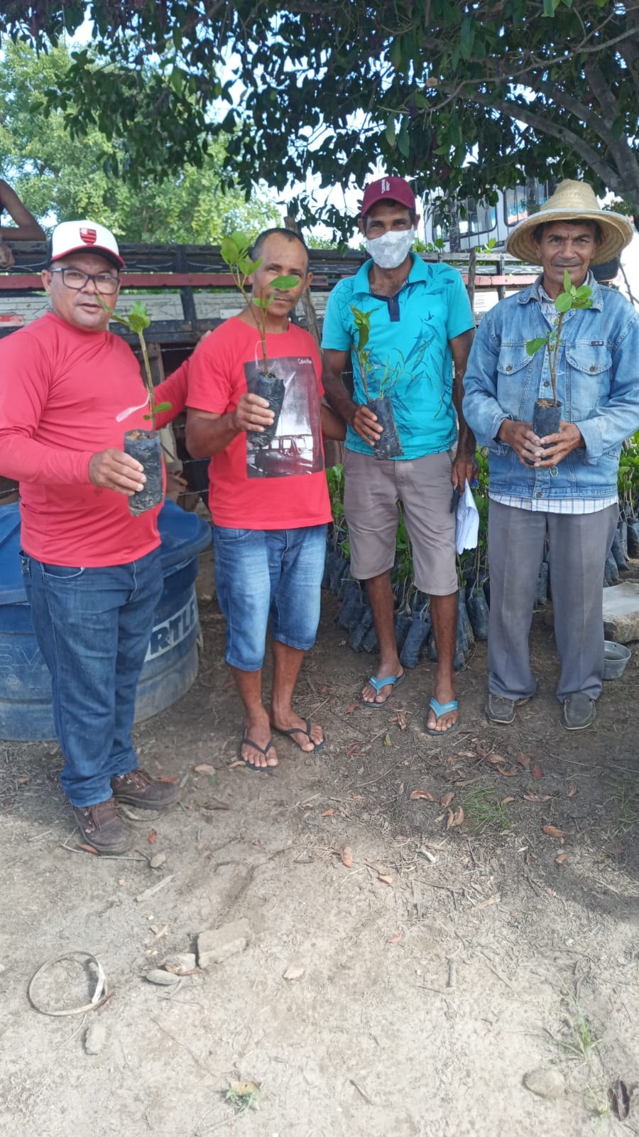 Prefeitura de Joaquim Pires entrega 4.000 mudas de caju aos agricultores - Imagem 8