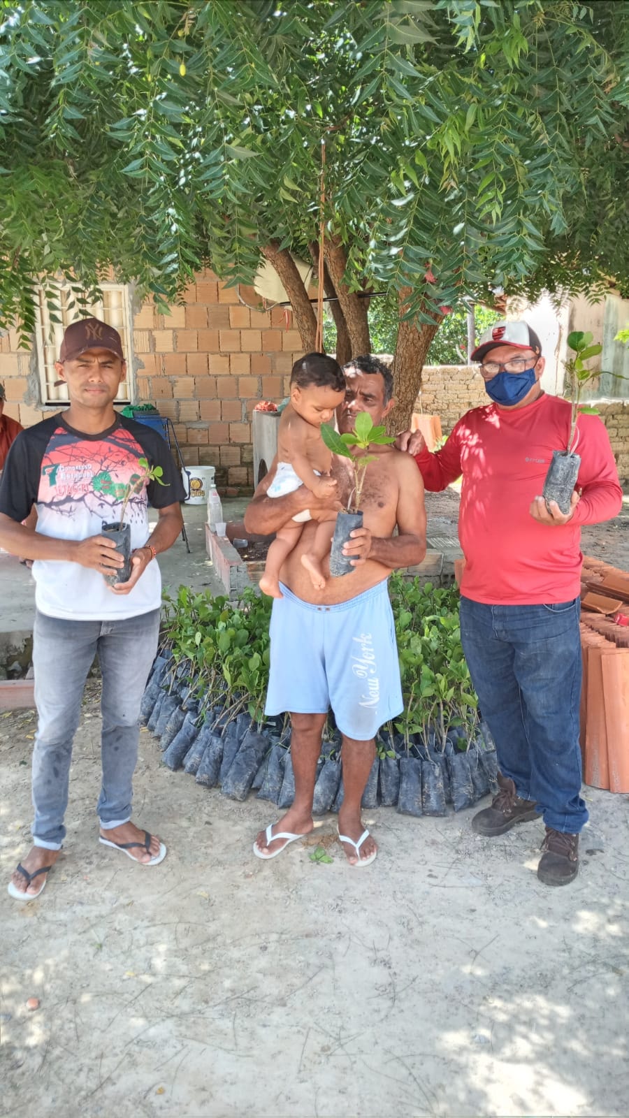 Prefeitura de Joaquim Pires entrega 4.000 mudas de caju aos agricultores - Imagem 4