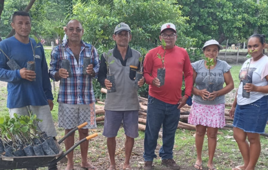 Prefeitura de Joaquim Pires entrega 4.000 mudas de caju aos agricultores