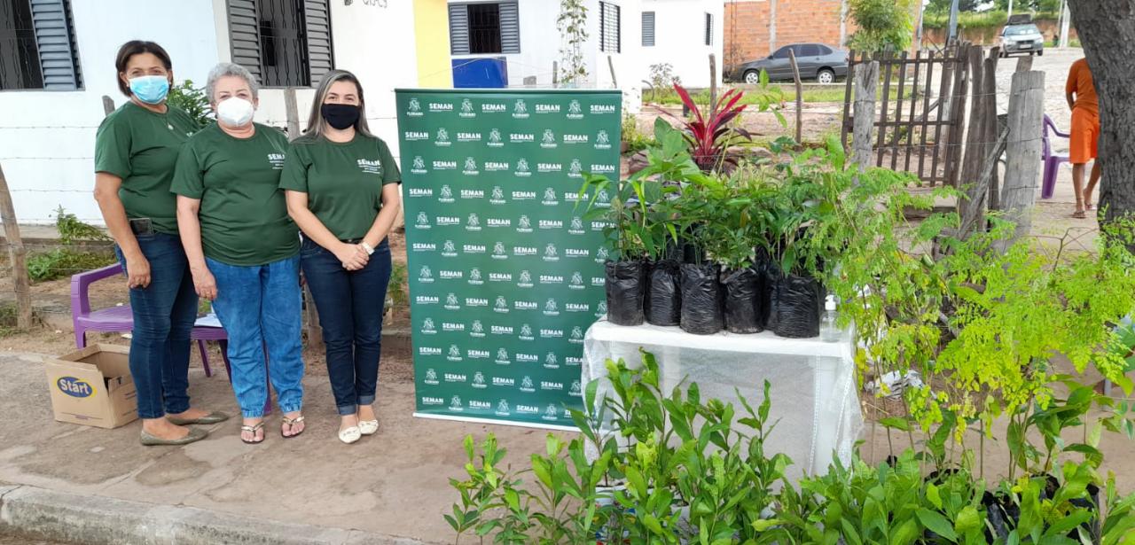 SEMAN doa mudas de árvores a famílias que moram no residencial Alto da Cruz