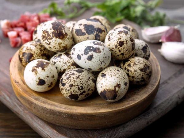 Mais nutritivo e saboroso: confira os 8 benefícios do ovo de codorna ...