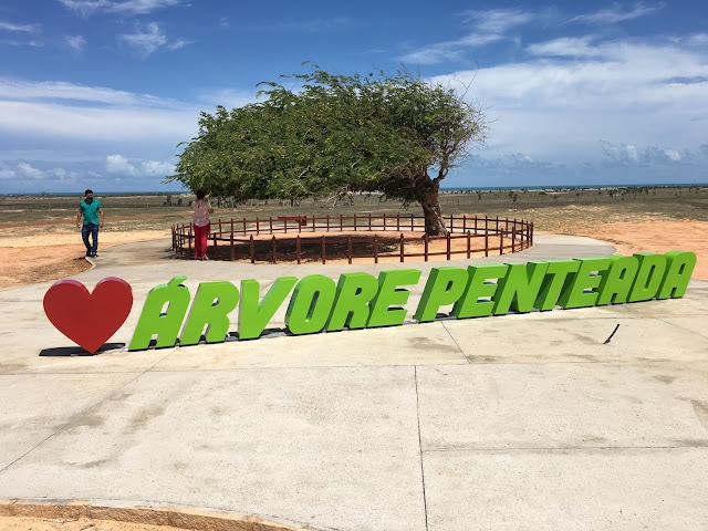 Luis Correia inaugura revitalização do entorno da Árvore Penteada - Imagem 4