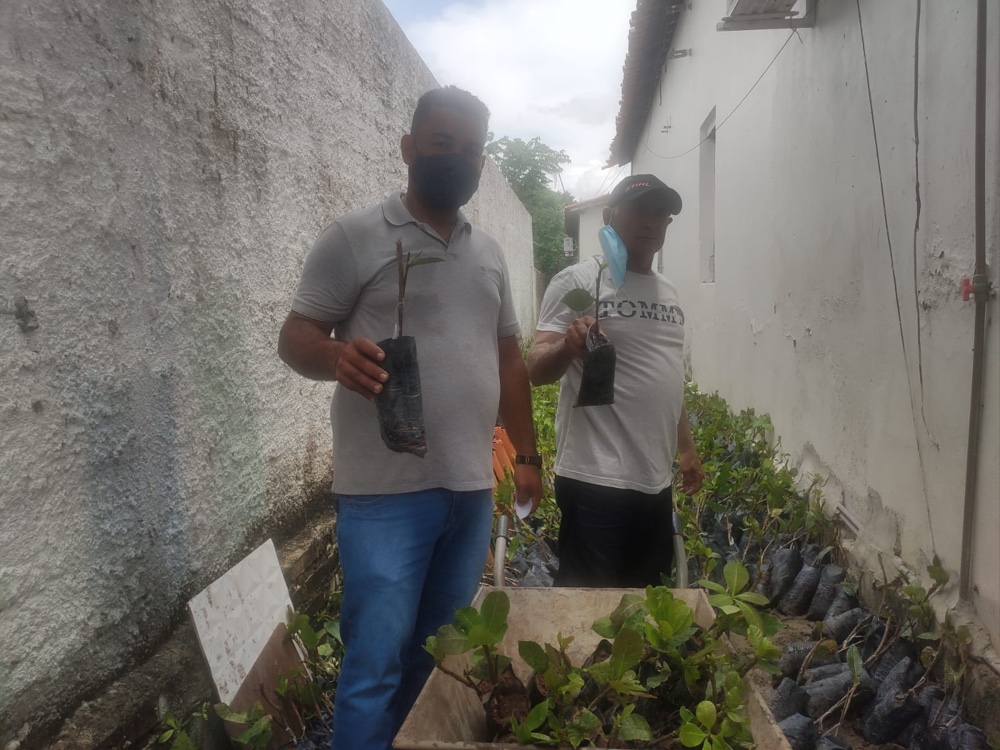 Hugo Napoleão distribui 4 mil mudas de caju para pequenos produtores - Imagem 3