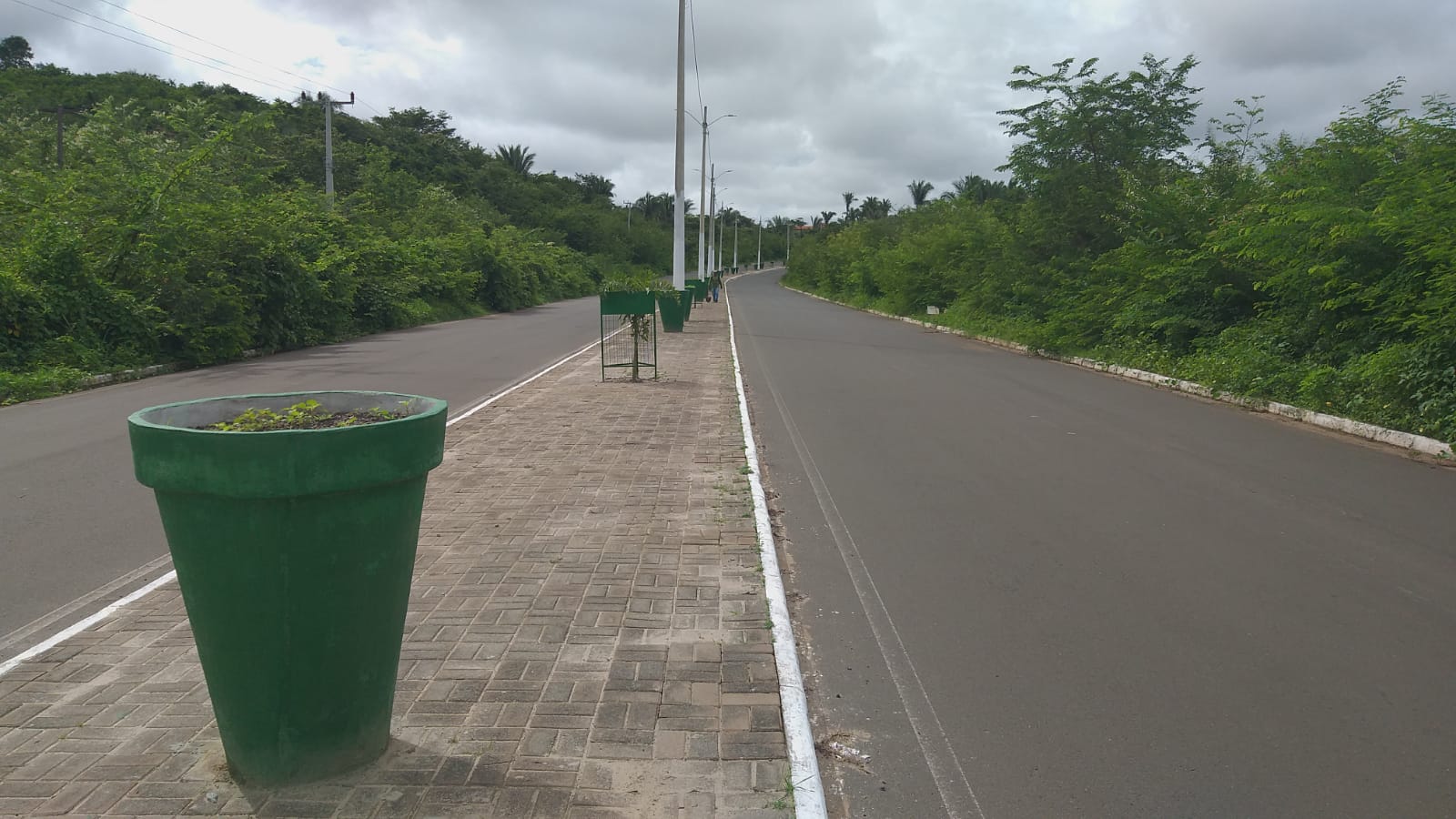 Avenida Chagô Rebelo está sendo novas mudas de plantas - Imagem 3