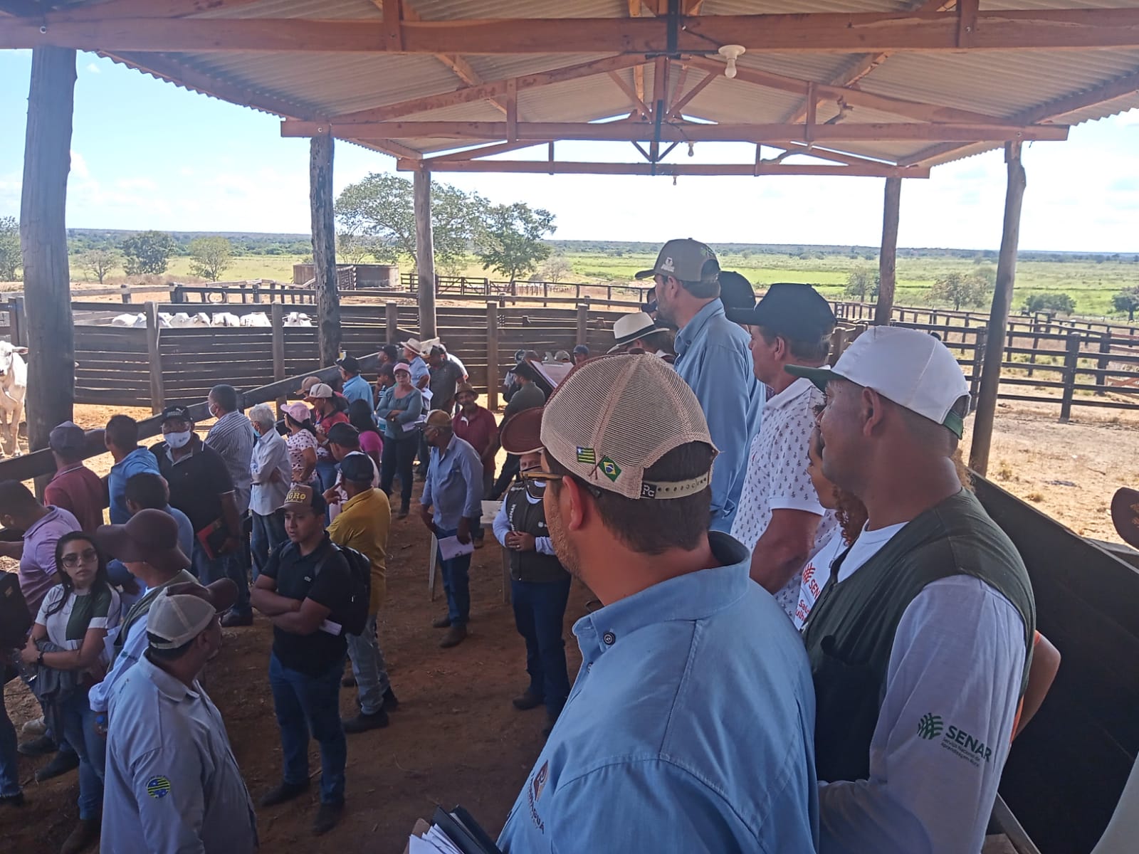 Dia de Campo na Fazenda Uberlândia em Parnaguá PI - Imagem 2