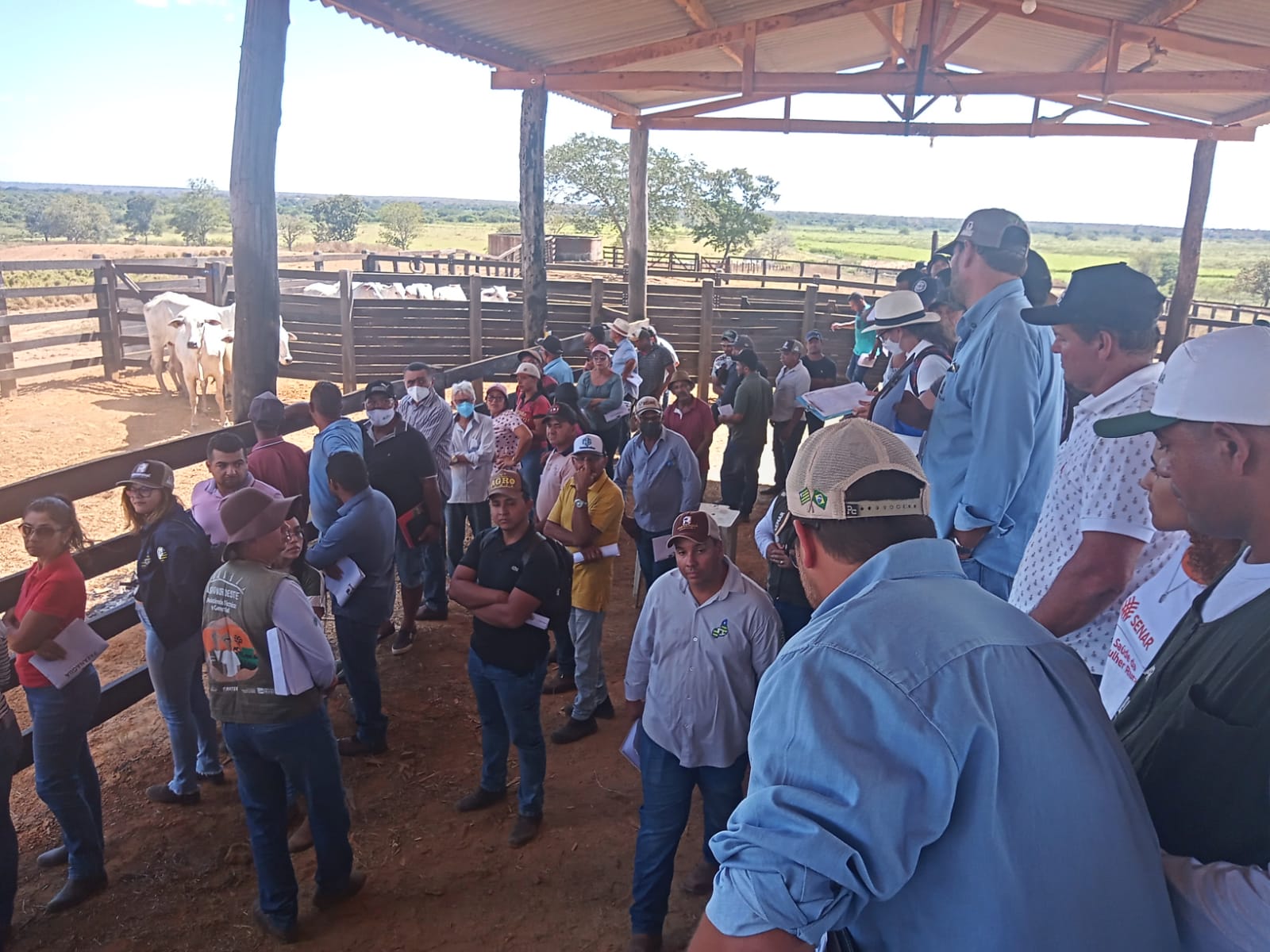 Dia de Campo na Fazenda Uberlândia em Parnaguá PI - Imagem 1