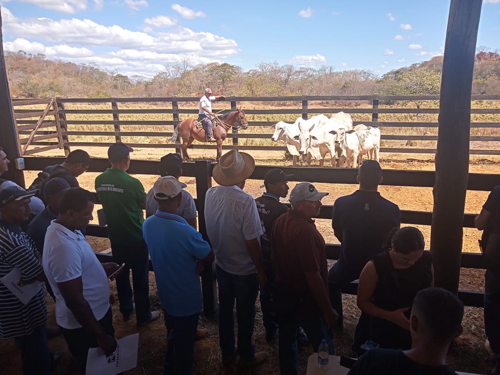 Dia de Campo na Fazenda Uberlândia em Parnaguá PI - Imagem 4