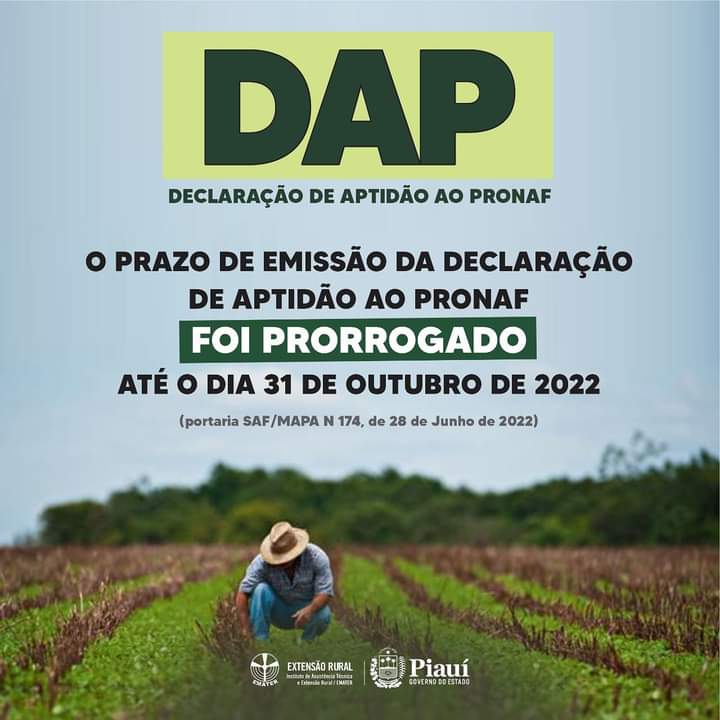 O prazo de emissão da Declaração de Aptidão do PRONAF foi prorrogado - Imagem 1