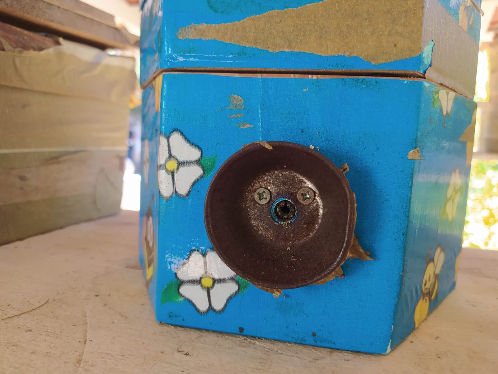 Equipe da Secretaria de Agricultura participa de oficina na UFPI de Picos. - Imagem 15