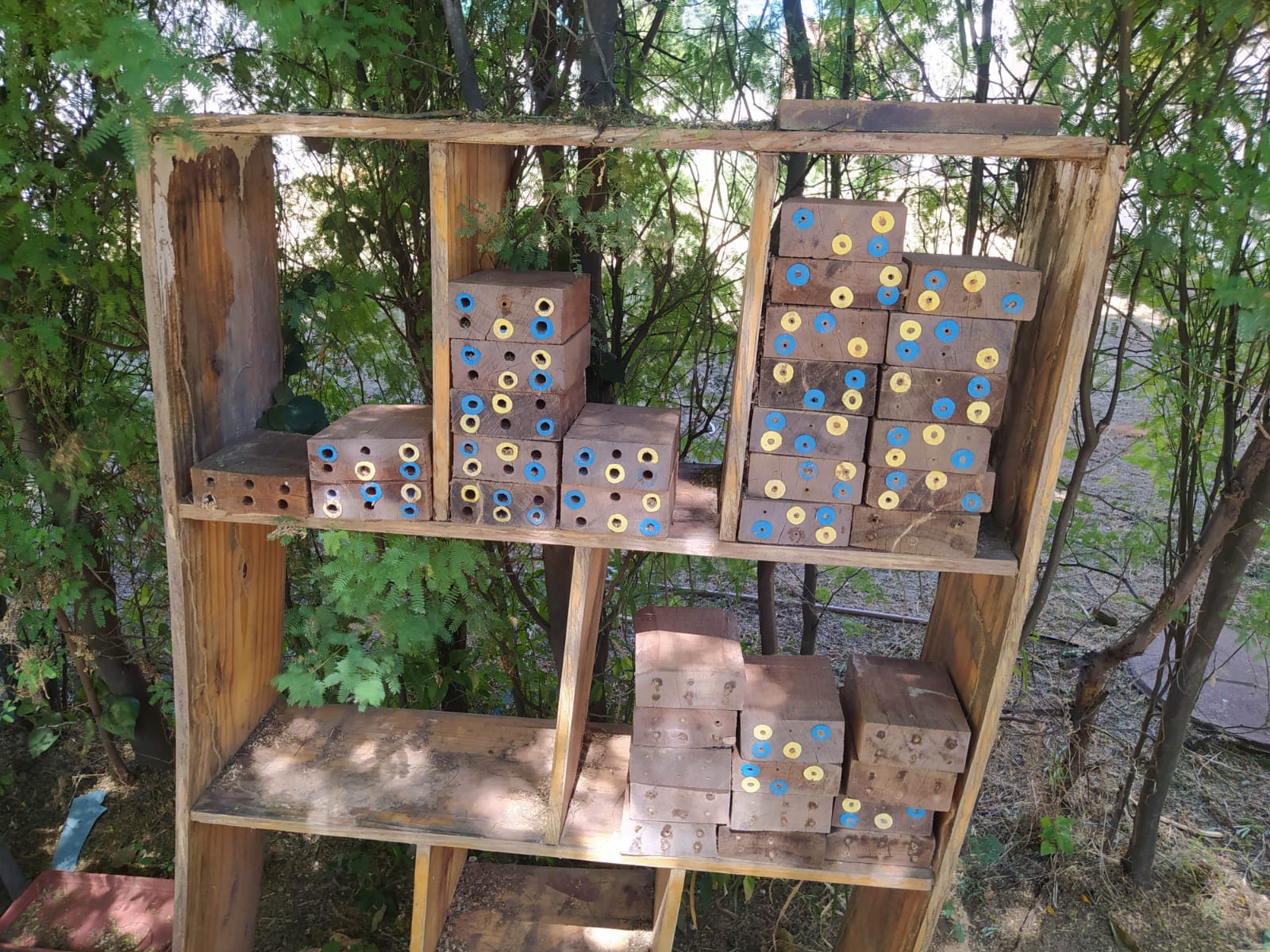 Equipe da Secretaria de Agricultura participa de oficina na UFPI de Picos. - Imagem 12