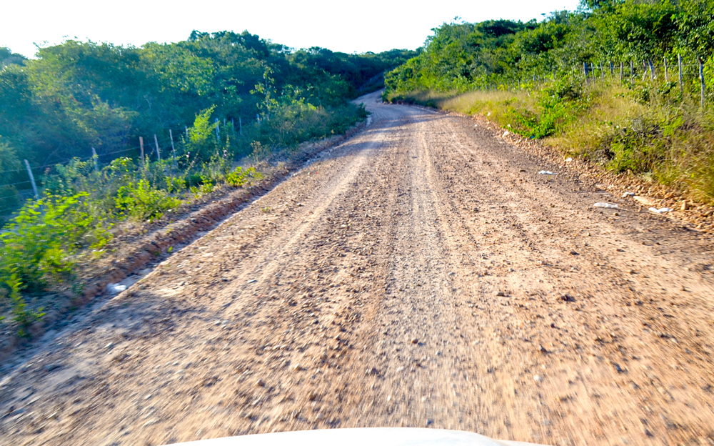 Prefeitura Municipal inicia a revitalização de estradas vicinais - Imagem 13