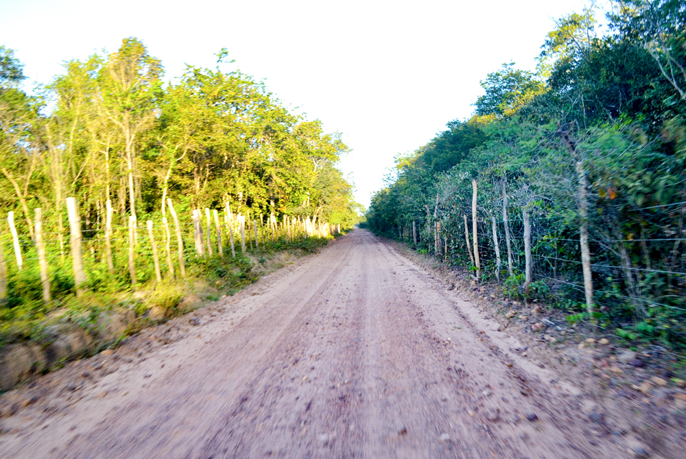 Prefeitura Municipal inicia a revitalização de estradas vicinais - Imagem 17