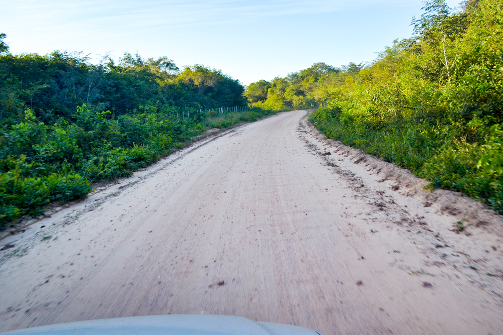 Prefeitura Municipal inicia a revitalização de estradas vicinais - Imagem 15