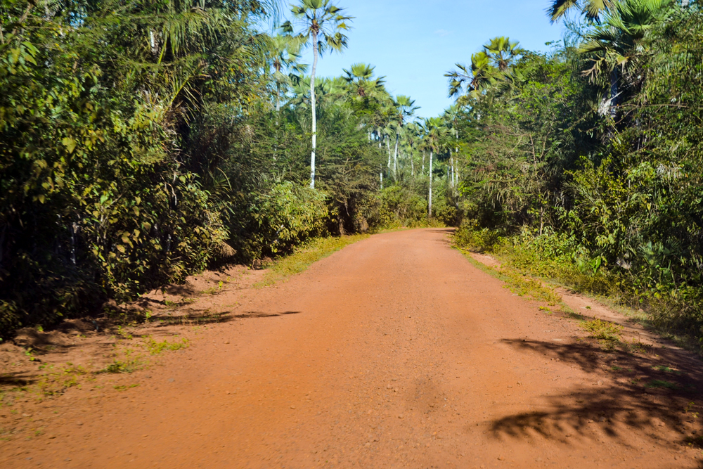 Prefeitura Municipal inicia a revitalização de estradas vicinais - Imagem 10