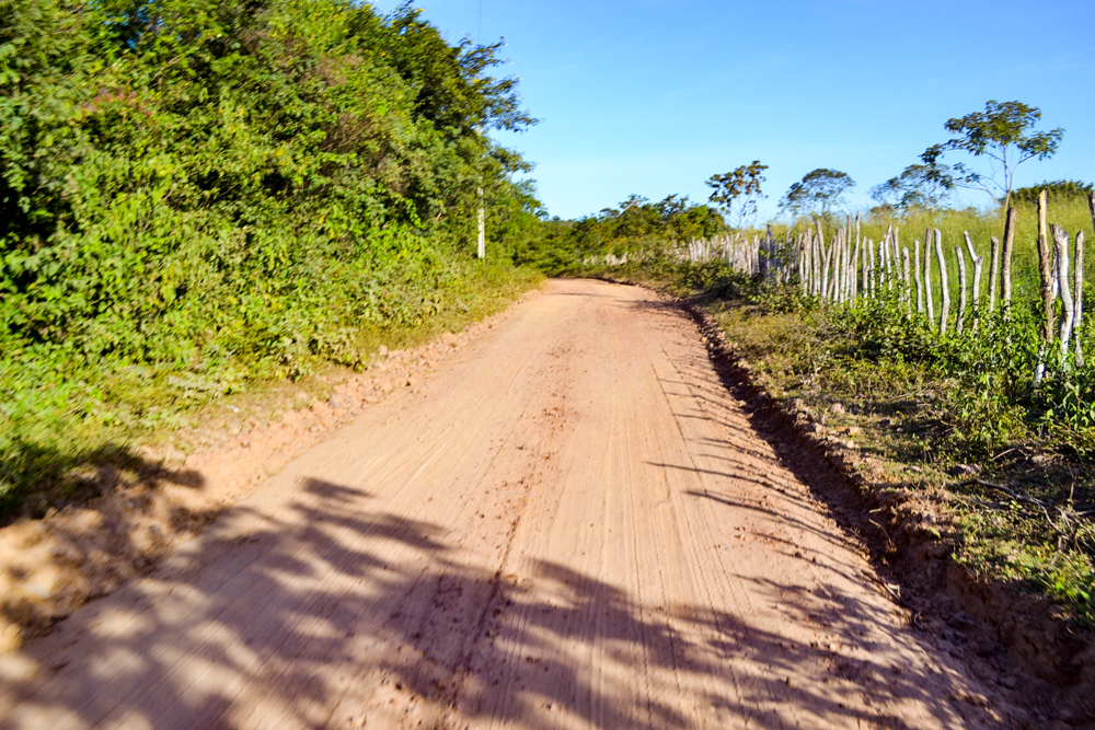 Prefeitura Municipal inicia a revitalização de estradas vicinais - Imagem 11