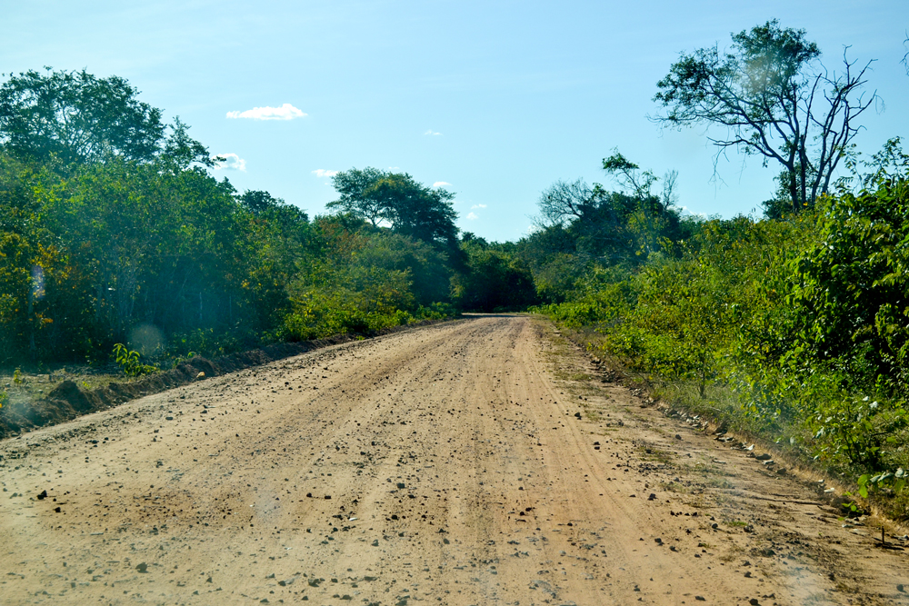 Prefeitura Municipal inicia a revitalização de estradas vicinais - Imagem 7