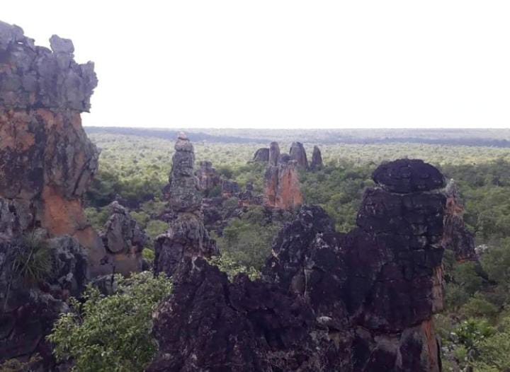 SEXTO TRILHÃO DA JUVENTUDE IPIRANGUENSE MOVIMENTA A CIDADE NA SDJ NO DIA 17 - Imagem 8