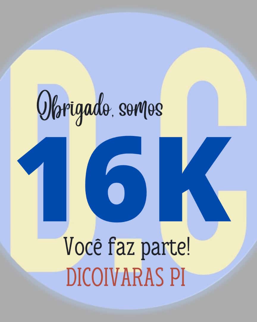 Grande ascensão do DICOIVARAS PI: 16 mil inscritos e inúmeras visualizações - Imagem 1