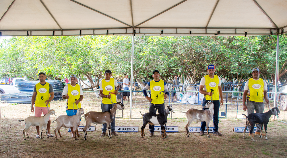 Prefeitura de Joaquim Pires realiza a XIII Expofeira de Caprinos e Ovinos - Imagem 28