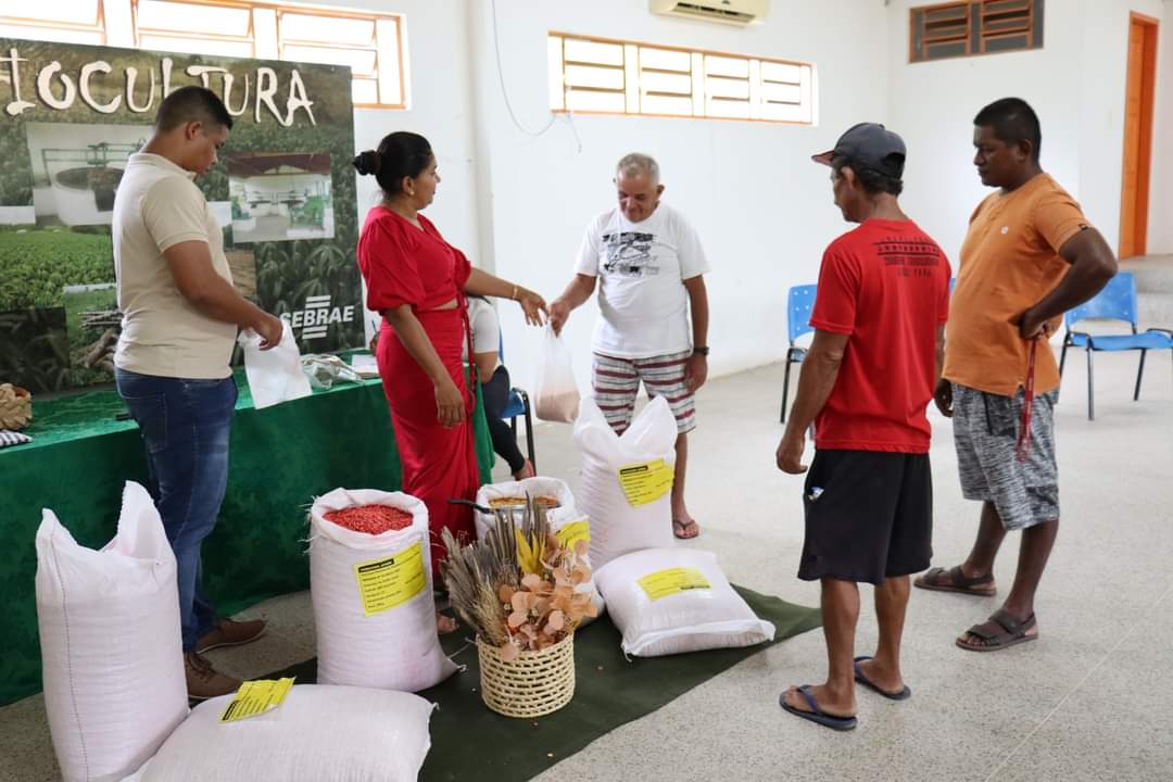 Agricultores de Monsenhor Gil recebem sementes da prefeitura municipal  - Imagem 4
