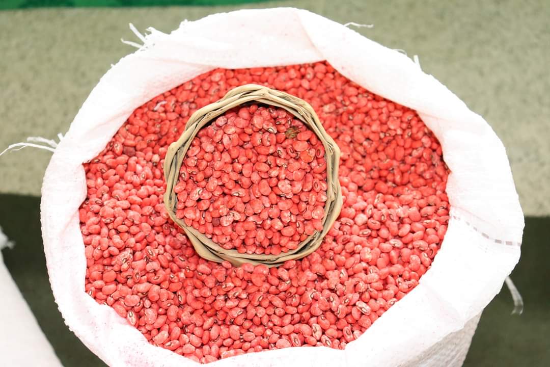 Agricultores de Monsenhor Gil recebem sementes da prefeitura municipal  - Imagem 2