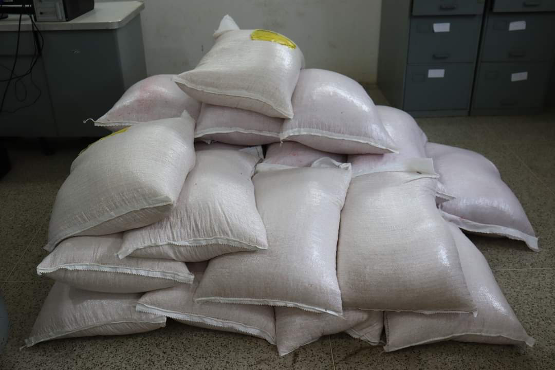 Agricultores de Monsenhor Gil recebem sementes da prefeitura municipal  - Imagem 5