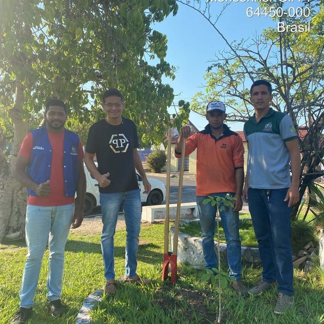 Prefeitura de Monsenhor Gil no trabalho de arborização do município 