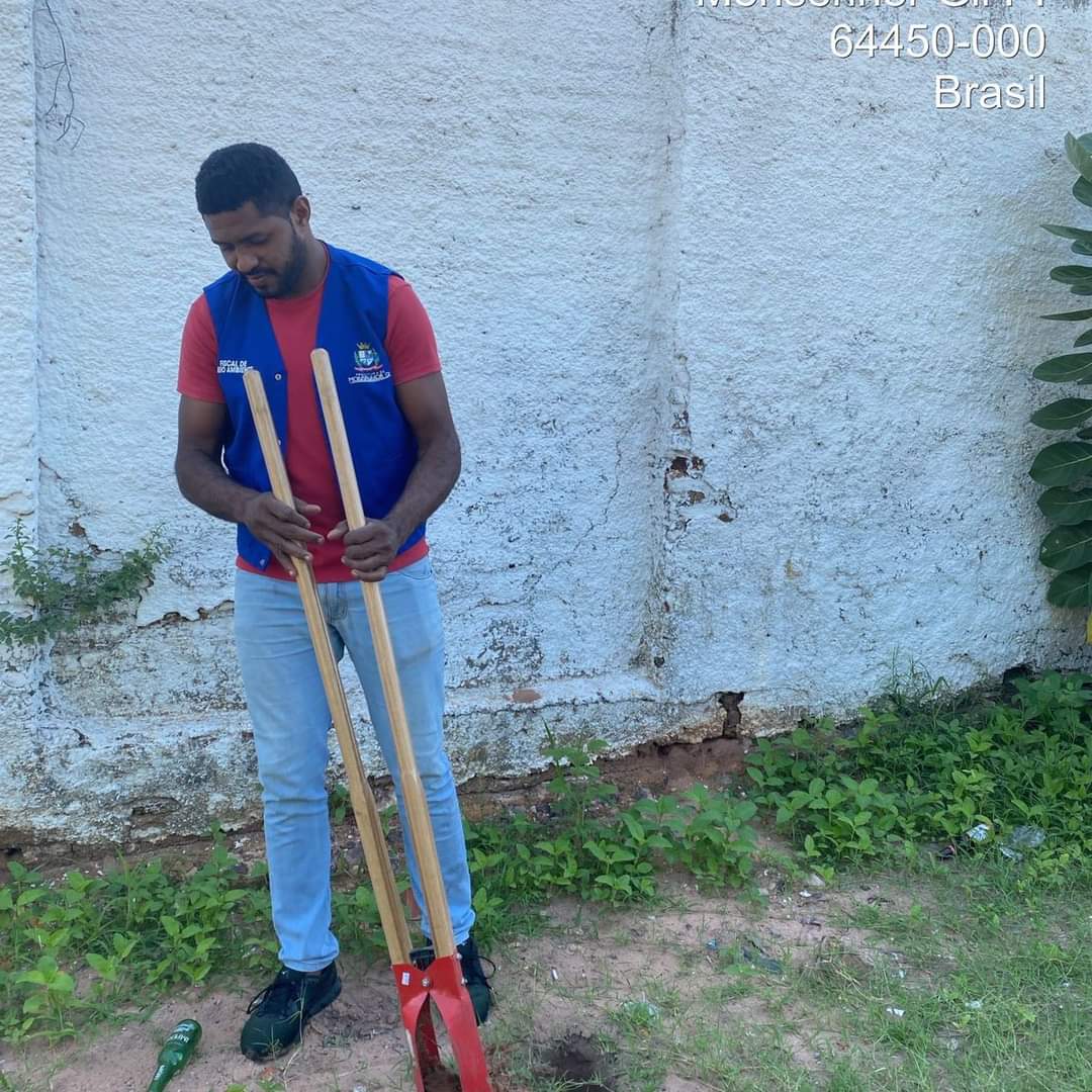 Prefeitura de Monsenhor Gil no trabalho de arborização do município - Imagem 9