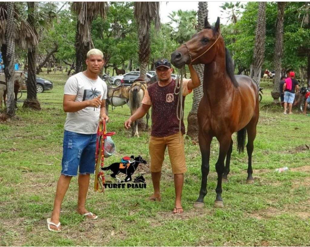 Monsenhor Gil fecha 2022 com eventos reunindo milhares de pessoas  - Imagem 56