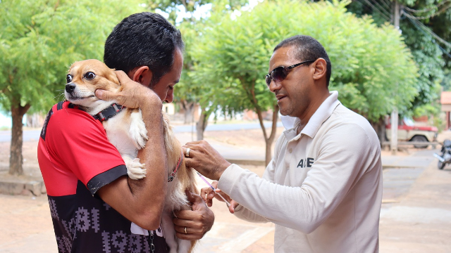 Campanha antirrábica bate recorde em São Pedro do Piauí