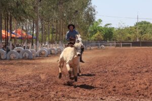 2º Rodeio Crioulo no distrito de Nova Santa Rosa em Uruçuí celebra a tradiç - Imagem 2
