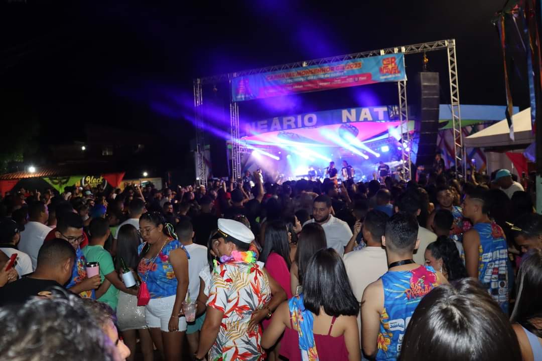 Carnaval de Monsenhor Gil se consolida pela organização e segurança - Imagem 39