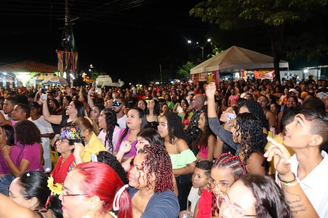 Carnaval de Monsenhor Gil se consolida pela organização e segurança - Imagem 41