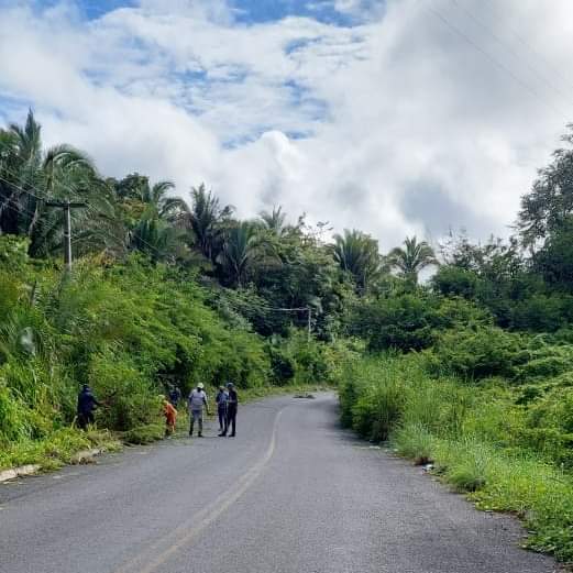 Em Monsenhor Gil centenas de famílias recebem peixes da prefeitura  - Imagem 40