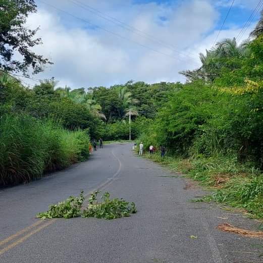 Em Monsenhor Gil centenas de famílias recebem peixes da prefeitura  - Imagem 42