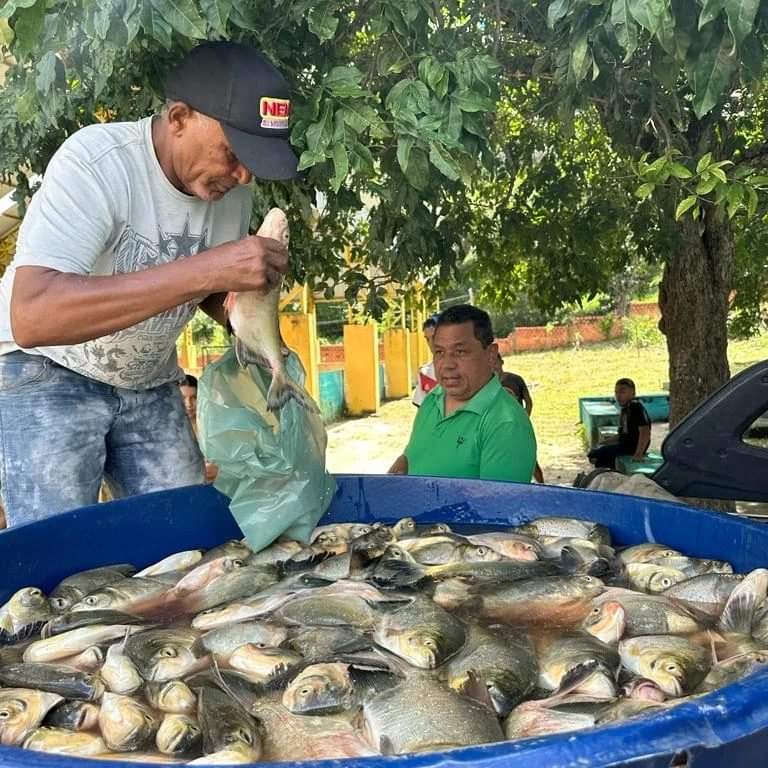 Em Monsenhor Gil centenas de famílias recebem peixes da prefeitura  - Imagem 5
