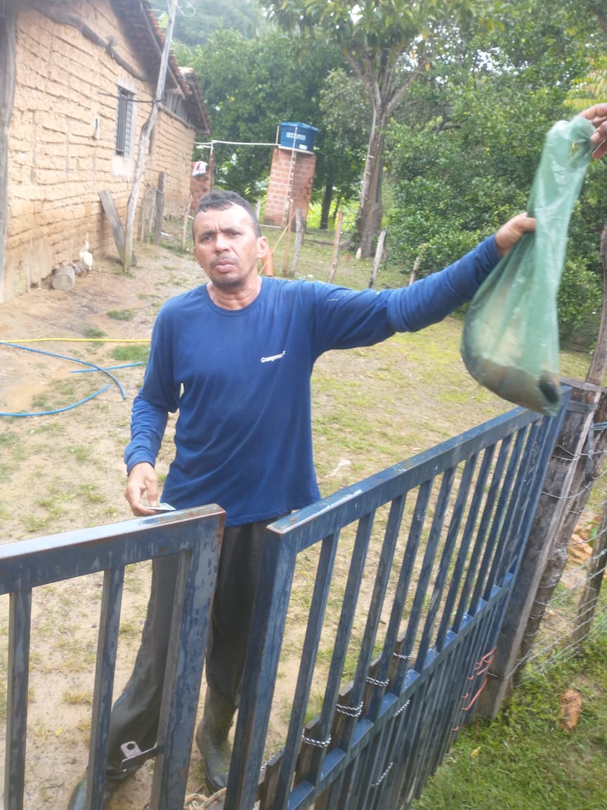 Em Monsenhor Gil centenas de famílias recebem peixes da prefeitura  - Imagem 20