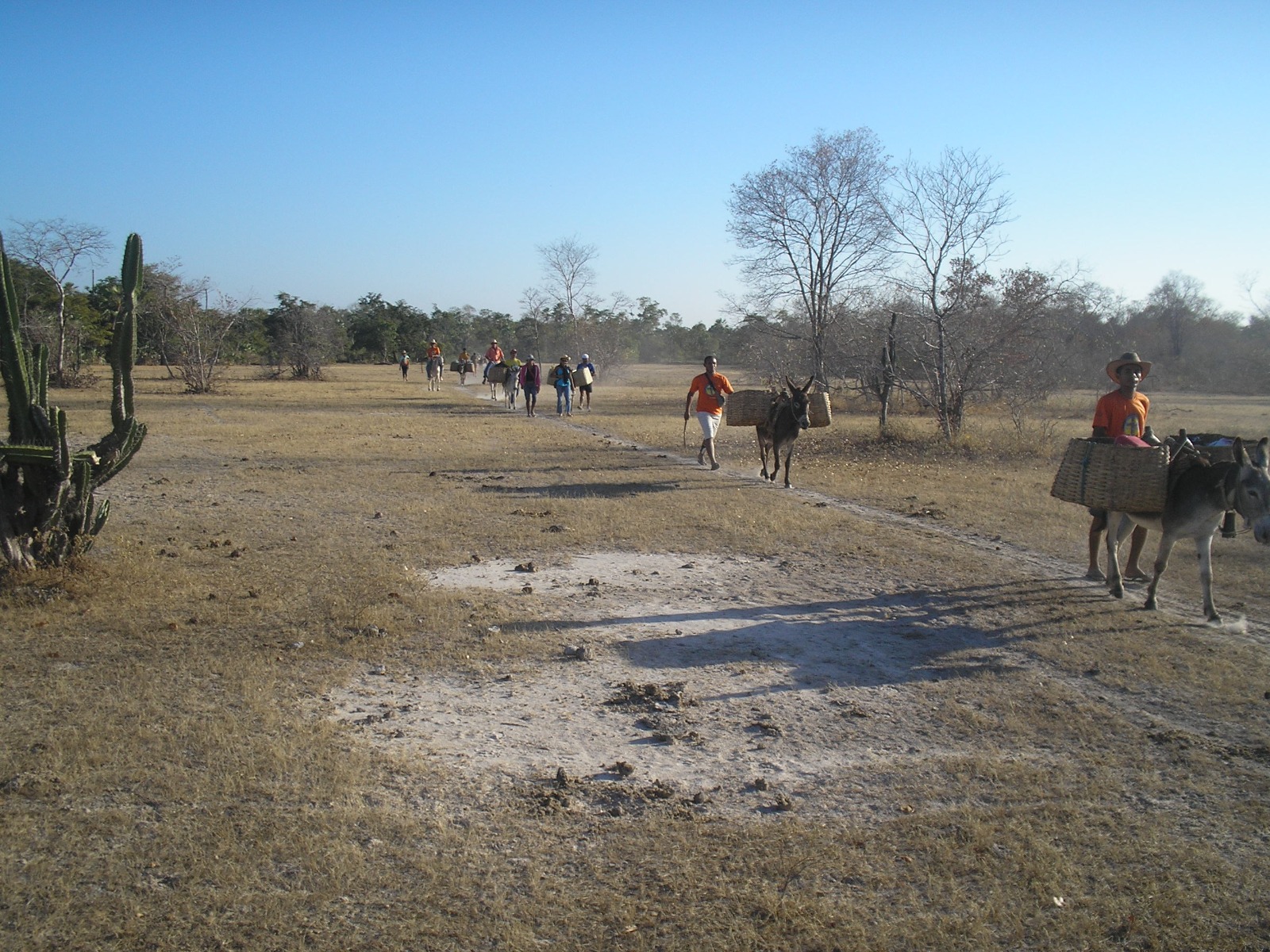 A comida, água e gelo serão fornecidas gratuitamente para os participantes, garantindo a sua nutrição adequada. (Foto: Divulgação)