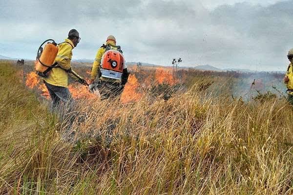 Através da SEMMAN, Prefeitura Municipal de Uruçuí anuncia Resultado Final d - Imagem 1