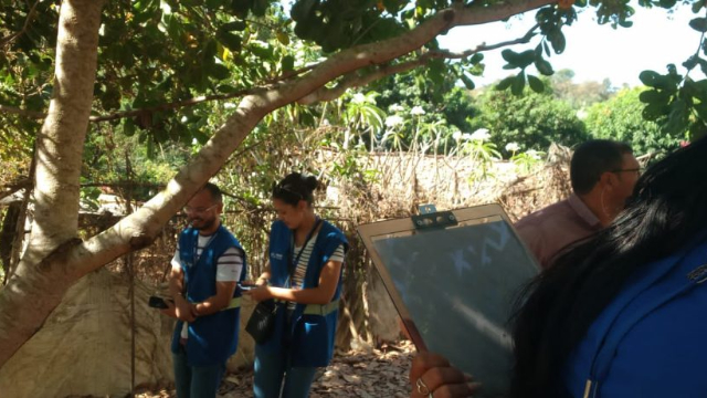 Iniciativa de Produtor Rural Busca Selo SIM para Expandir Vendas de Mel em 