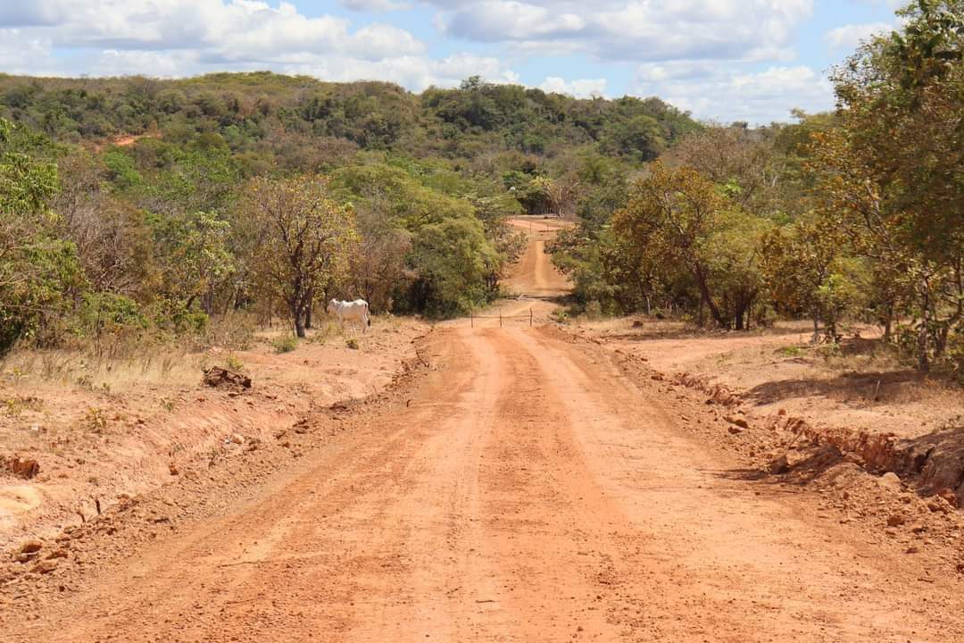 Recuperação de estrada e de ponte melhoram a vida dos monsenhorgilenses - Imagem 6