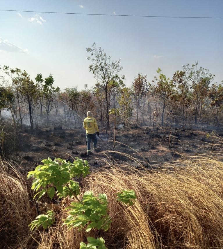 A Segunda Divisão do Campeonato Uruçuiense Brilha em sua Estreia - Imagem 4
