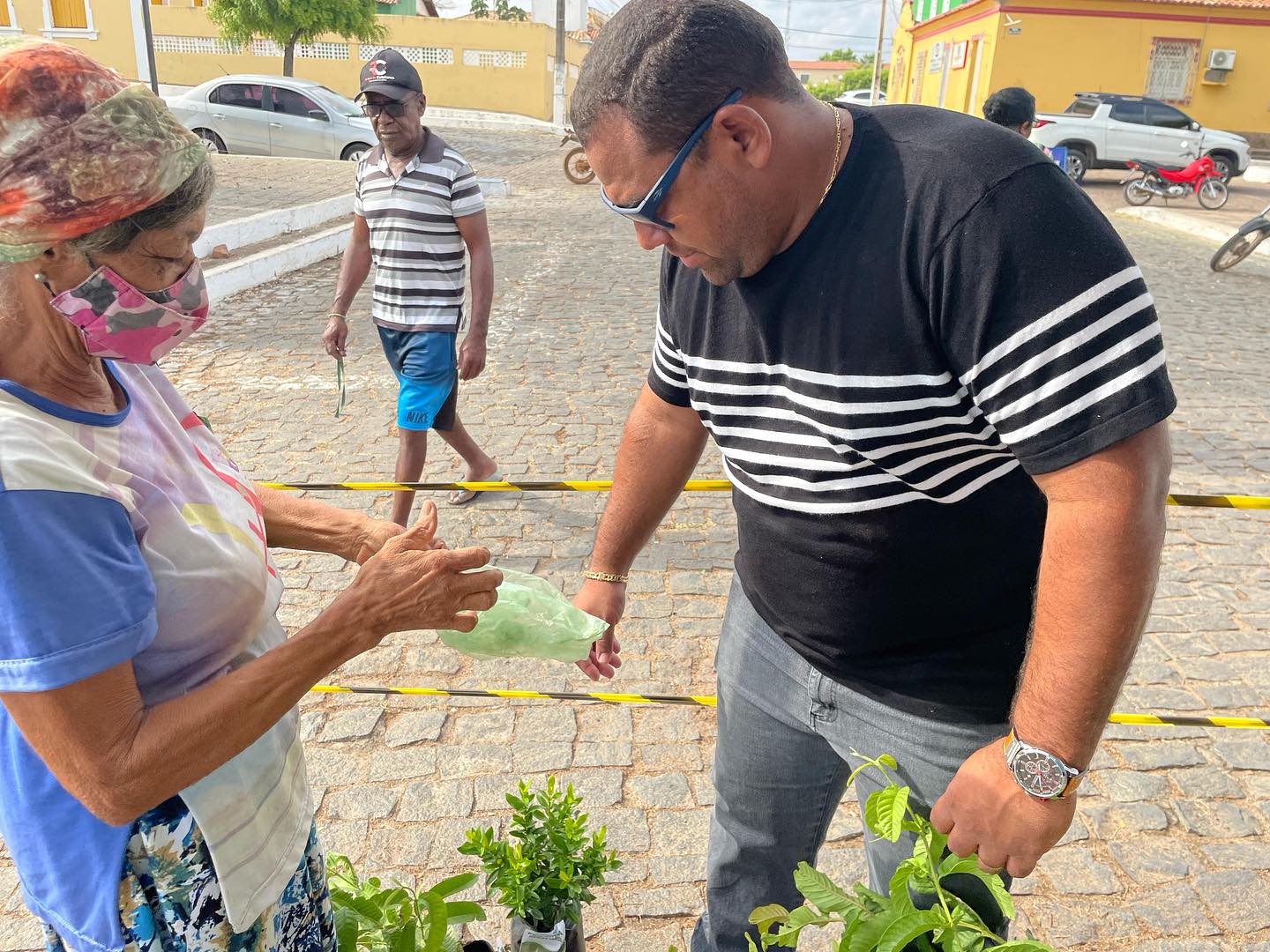 Prefeitura soma mais de 25 mil mudas distribuídas em Oeiras - Imagem 2